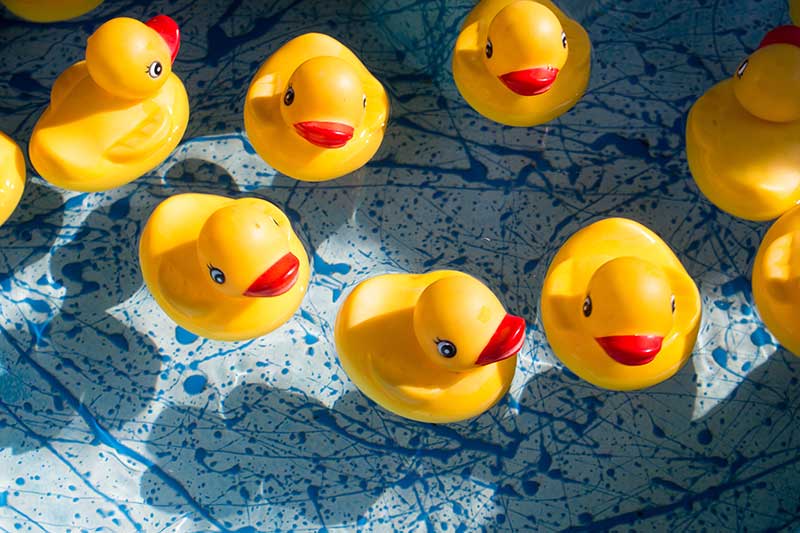 5 argumenten voor een bankhoes